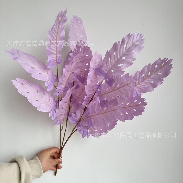微信图片_202303241646128_副本