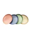 Plato de frutas sabor trigo plato de frutas biodegradable de paja de trigo plato de caja de regalo de papel Kraft al por mayor RS-8423