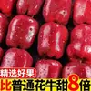 [Alta Calidad] Manzana Huaniu de Tianshui, Gansu Fruta Fresca Fruta Serpiente Rosa de Temporada Dulce Crujiente Caja Entera Precio de Mayoreo