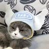 Gato Conejo Sombrero para la Cabeza Perro Mascota Internet Sombrero Rojo Teddy Fadou Perro Pequeño Sombrero para la Cabeza Disfraz Sombrero Lindo