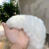 Banda de pelo de conejo real para mujer, gorro cálido de piel, bufanda de felpa elástica, banda para el pelo con borde ancho, para otoño e invierno