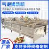 Lavadora de Verduras para Cocina Central, Equipo Lavador de Verduras Pre-Fabricado, Lavadora de Burbujas para Frutas y Verduras de Semillas de Ajo