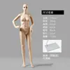 Loja de Roupas Props de Modelo Masculino e Feminino Modelos de Cor de Pele com Base Suporte de Manequim Props de Exibição