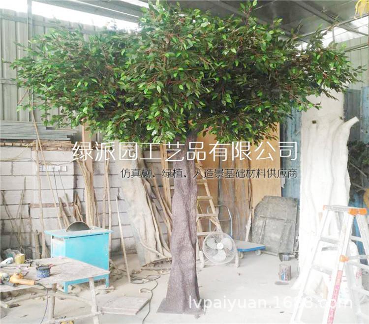 榕树065.jpg