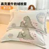 Funda de Almohada de Terciopelo de Leche Engrosada 48X74cm Paquete Doble Invierno para Niños y Adultos Funda Interior para Almohada Individual del Hogar