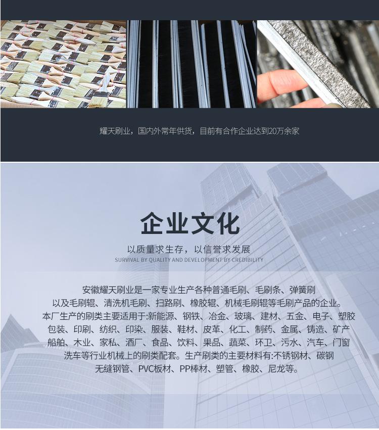 清洁圆盘刷_14.jpg