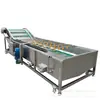 Juego Completo Máquina Lavadora de Frutas y Verduras Equipo Comercial de Lavado con Burbujas para Chiles Máquina Lavadora a Presión en Spray para Frutas, No Daña la Fruta