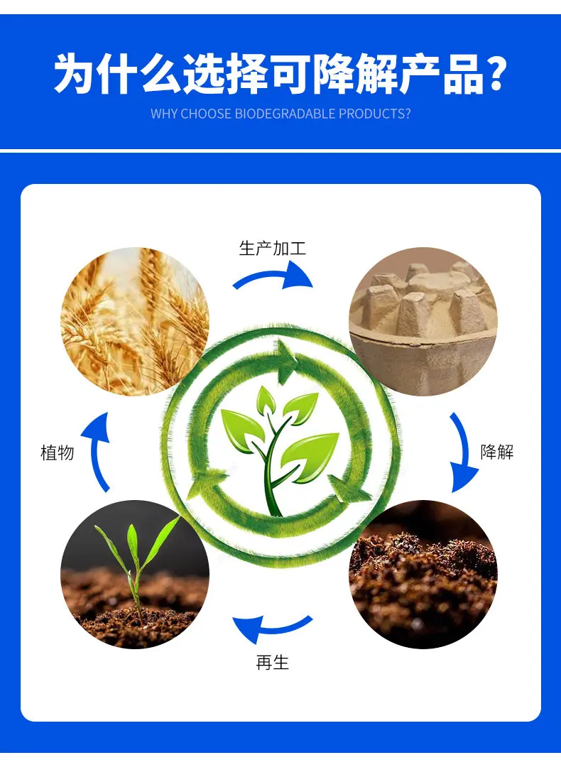 套版---砂锅托_04.jpg