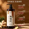 Suxiu Chenshi Aceite de Shampoo de Hoja de Ciprés Control de Grasa Voluminizador Herbal Cuidado Suave del Cabello Fragancia de Larga Duración Champú para el Cuidado del Cabello