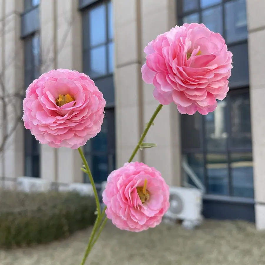 3头特慧丁香花-深粉.JPG