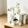 Novo Modelo Transfronteiriço 21-Flor Borboleta Orquídea Bonsai Artificial em Estoque, Filme de Toque Realista Flor Artificial Planta Verde de Mesa Decoração em Vaso