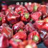 Secador de pimentão doce Guizhou pequeno comercial Pimentão Caixa de secagem de pimentão móvel Secador de pimenta Hebei