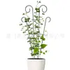 Estructura de Soporte para Plantas Trepadoras Creativa Montaña Tortuga Soporte para Flores Soporte de Bambú Estructura de Soporte Varilla para Trepar Interior Transfronterizo