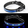 Coleira luminosa de LED para animais de estimação, fivela de pino, recarregável via TypeC, à prova d'água, coleira luminosa para cães para caminhadas noturnas, atacado