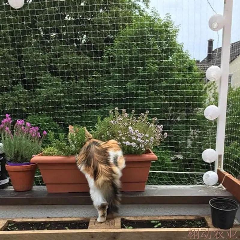 猫网主图四