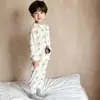 Conjunto de Algodão 100% Puro Classe A, Conjunto de Roupas de Outono Infantil Sem Costura, Roupa de Casa de Manga Longa para Meninos e Meninas