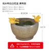 Creativo macetero hidropónico de cobre para plantas de dinero, utensilios, plantas suculentas en maceta, animales lindos, pato, pecera, adornos para paisajismo