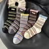 Calcetines de Rayas para Mujer de Primavera y Otoño de Media Pantorrilla, Calcetines Largos de Costilla Doble Empalmados Estilo Coreano, Calcetines Zhuji Versátiles