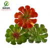 Simulación planta suculenta súper grande tamaño pequeño suculenta bonsái planta verde flor de plástico en maceta micro paisaje con pared vegetal