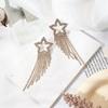 Brincos de borla de strass de diamante de pino de prata, moda europeia e americana, brincos de vento frio, alto senso, coringa, elegante, brincos elegantes, atacado