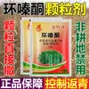 Fanbang Zazhujing Herbicida Ciclazina e Agente para Podridão Radicular, Herbicida Especial para Bambu para Recuperação de Terras e Grânulos de Herbicida
