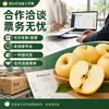 Manzanas Fuji Crema Dorada 4.5kg Fruta Fresca de Temporada Recién Recolectadas Crujientes Dulces Corazón de Azúcar Manzanas Amarillas Caja Completa Envío Gratis