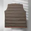 Abrigo de lana para hombre, chaqueta de lana y plumón de ganso, estilo de longitud media de alta gama para otoño e invierno, con forro polar añadido y acolchado de plumón engrosado