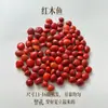 Materiais de Casca de Fruta Preta Indonésia e Tília a Granel, Sino de Vento e Acessórios de Sino de Casca de Fruta Curativa Feitos à Mão Pura Atacado