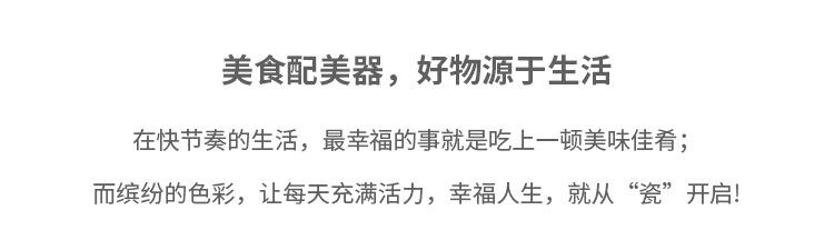 定制色釉北欧陶瓷烤盘长方形双耳焗饭碗家用烘焙芝士焗饭烤盘套装