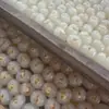 Diretamente da fonte, fruta cristalizada sem caroço e pronta para comer de Gaizhou, Guangdong, lanche de lichia com sementes de lótus a granel 500g