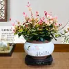 [Pedra Pendente com Flores e Folhas] Plantas Verdes Trepadeiras Coloridas, Plantas de Flores em Vasos para Mesa no Escritório, Fáceis de Cultivar, Resistentes ao Calor e ao Frio