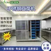 Máquina Germinadora Totalmente Automática, Máquina Germinadora Comercial, Máquina Germinadora Inteligente, Produce 25-150 kg de Brotes por Día, Brotes de Guisante