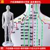 Modelo de cuerpo humano de hombre y mujer con meridianos súper claros de 50 cm, modelo de meridiano de cuerpo humano, modelo de punto de acupuntura de bronce de medicina china
