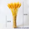 Envío directo Macetas de espigas de trigo dorado natural Ramo de flores secas Cebada de apertura Decoración de adornos para sala de estar Arreglo de flores de trigo