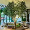 Olivo Planta Verde Biónica Árbol Artificial Grande Estilo Nórdico De Pie Decoración Interior y Exterior Adorno de Paisajismo Juego