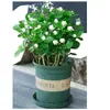 Mudas de Jasmim em Vaso de Flores Dobradas, Forte Aroma para Varanda Interna com Botões, Plantas Floríferas Fáceis de Cultivar que Florescem em Todas as Estações