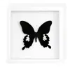 Especimen de Mariposa Real Pintura Decorativa de Madera Decoración del Hogar DIY Marco de Fotos Retro Soporte de Exhibición Regalo de Cumpleaños Pintura Sencilla