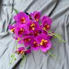 Película de simulación, sensación de Phalaenopsis, decoración del hogar, arreglo floral de boda, hotel, flores falsas, comercio exterior, flores de seda transfronterizas, venta al por mayor