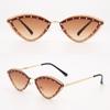 Gafas de sol ojo de gato nuevas primavera y verano 2024 tendencia diamante gafas de sol retro marco de gafas personalizado fabricantes venta al por mayor tendencia coreana