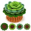Paquete de Materiales de Crochet Más Vendido de Amazon Serie de Plantas Adornos de Flores en Maceta Regalos Soporte Dropshipping