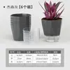 Planta en Maceta de Auto-riego para Personas Perezosas Sin Riego Octagonal Transparente Almacenamiento de Agua Maceta Verde Raíz Anti-pudrición Decoración de Escritorio