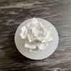 Flor de Hibisco Iris Rosa Flor de Osmanthus Molde de Silicona Molde de Yeso para Aromaterapia Molde Decorativo