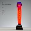Medalha Troféu Souvenir Cinco Estrelas Aposentado Feita com Elegante Honra Elogio 4 de Maio Prêmio da Juventude Troféu de Cristal