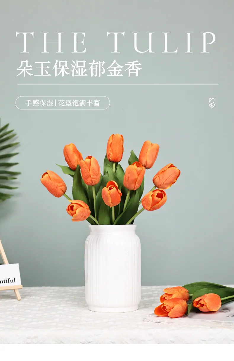 朵玉保湿郁金香_01.jpg