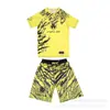 Conjunto de Traje de Boxeo Venom para Lucha, Muay Thai, Entrenamiento de MMA, Fitness Deportivo para Hombres y Mujeres Pantalones Cortos CFC de Cinco Puntos