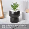Vaso de Flores Cerâmico para Suculentas Moderno Estilo Ins Minimalista Nórdico, Simples para Interior Criativo Redondo Doméstico para Plantas Verdes Vaso de Flores de Luxo