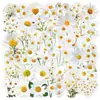 50 Piezas de Flores Pequeñas de Manzanilla para Decoración Fresca, Adecuadas para Diarios DIY, Cuadernos, Fundas de Teléfono y Decoraciones de Refrigerador, Mayoreo