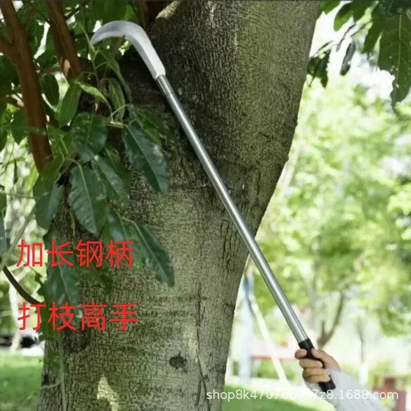 微信图片_20260525102344_4301_24.jp