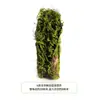 Mobiliario suave paisaje de plantas verdes paisajismo bloques de musgo césped flockado de musgo escaparate decoración artística DIY césped verde