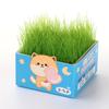 Tijeras para plantas verdes de bricolaje para niños, césped, planta verde, pequeño bonsái hidropónico en maceta, escritorio, mini plantación, césped para estudiantes en maceta